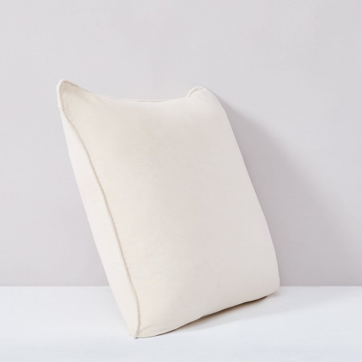 Terran Velvet Decorative Pillow Cover