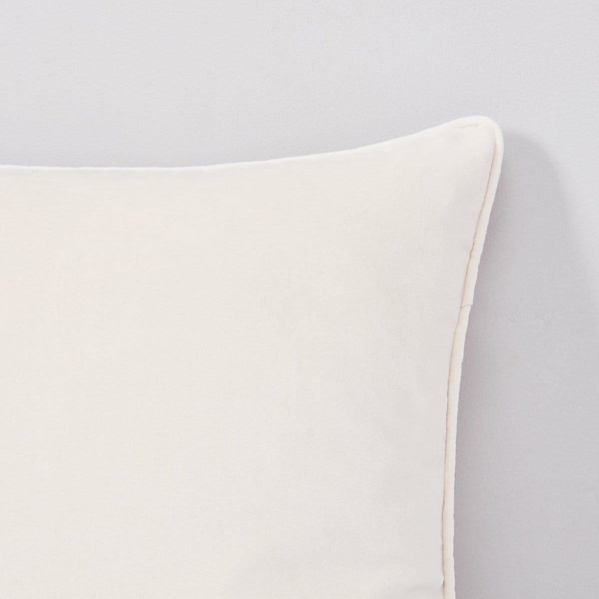 Terran Velvet Decorative Pillow Cover