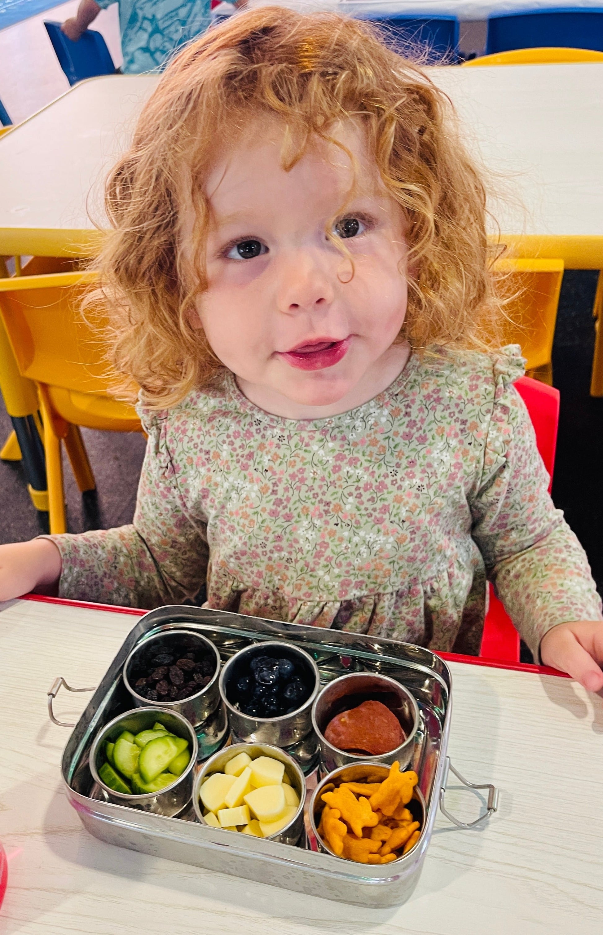 Stainless Steel Bento Snack Box - 6 Compartments for Kids' Lunches & On-the-Go