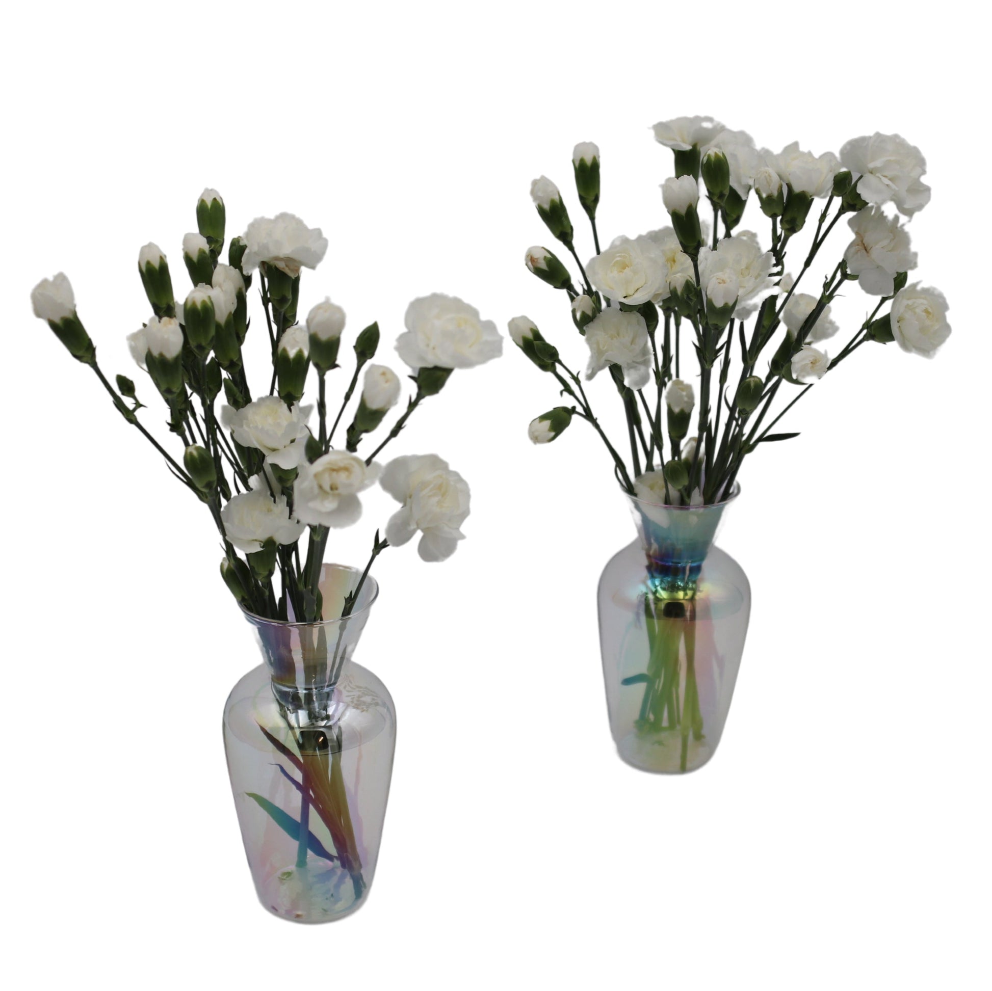 Two iridescent glass vases with white flowers on a white background