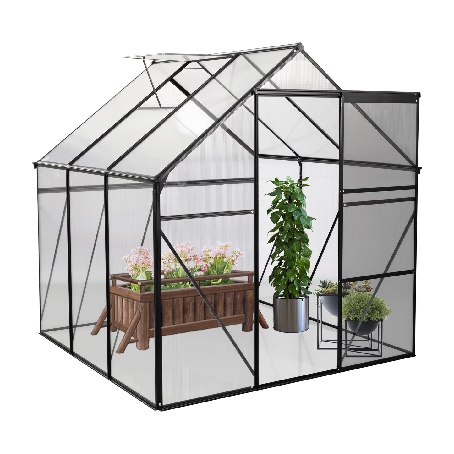 6X6FT Polycarbonate Walk-in Greenhouse Garden for Backyard Planting- Black_4